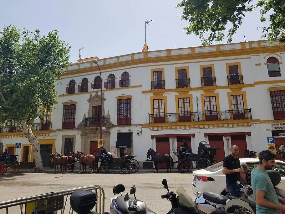 Atico C/ Adriano_Catedral. Apartment Seville